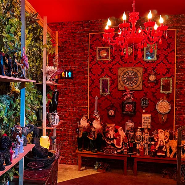 Velha Rabugenta Confraternização